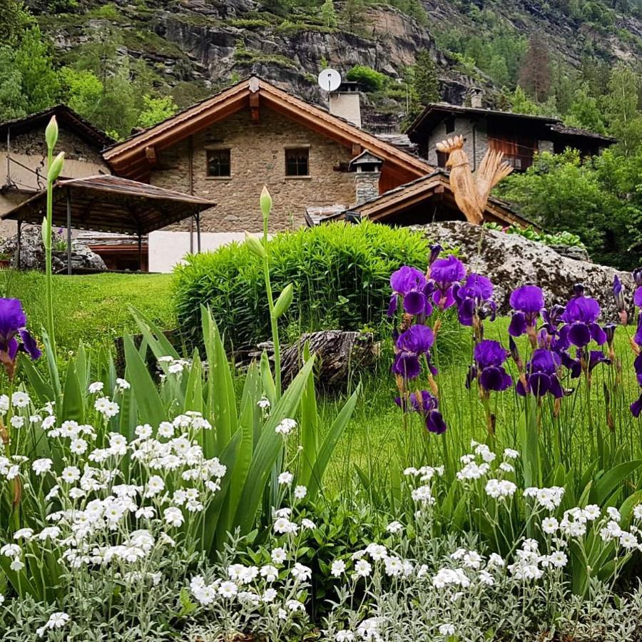 B&B Lo Djoua De Toueno Арвье Экстерьер фото